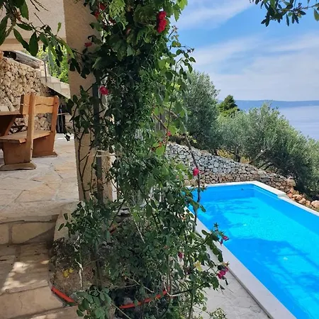 Jerkovic-secluded House And With Pool דירה דרזניצה