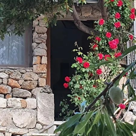 Jerkovic-secluded House And With Pool *