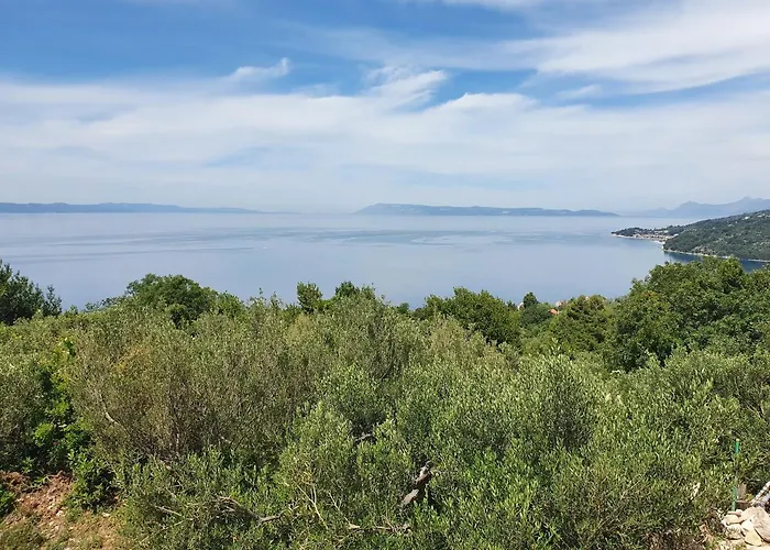 Lejlighed Jerkovic-secluded House And With Pool Drašnice