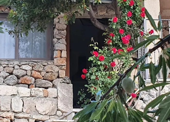 Jerkovic-secluded House And With Pool *