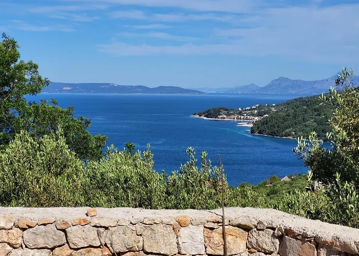 Jerkovic-secluded House And With Pool *